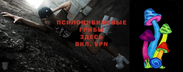 соль ск Осинники