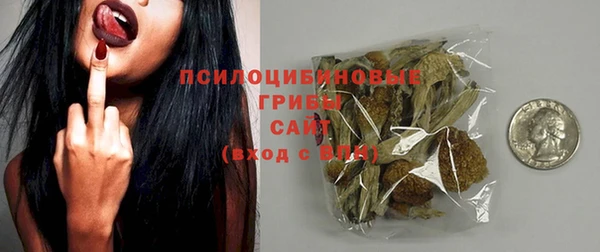 прущий лед Переславль-Залесский