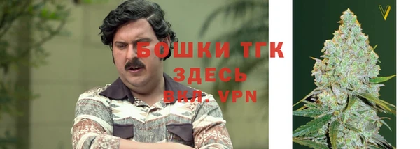 2c-b Пестово