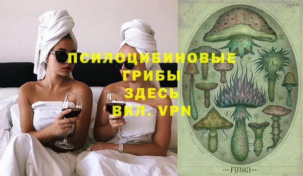 PSILOCYBIN Осташков