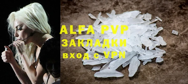 PSILOCYBIN Осташков