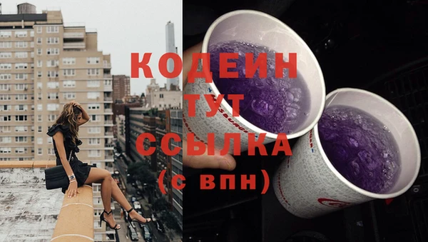 2c-b Пестово