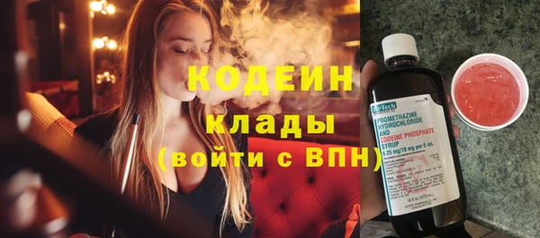 прущие грибы Верхний Тагил