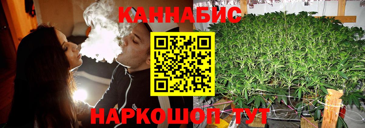 Бошки Шишки индика Сатка